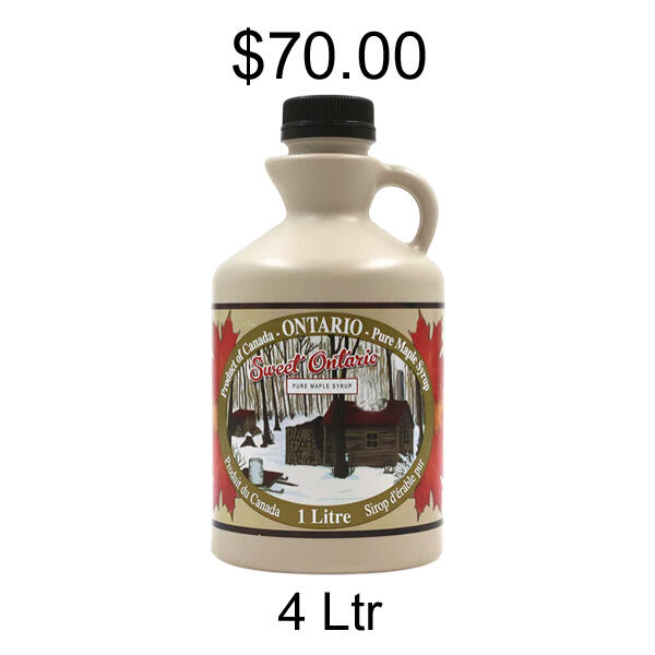 Efficitur faucibus vitae